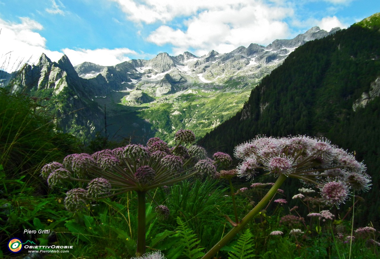 17 Monte Boris e cime d'Averta.JPG